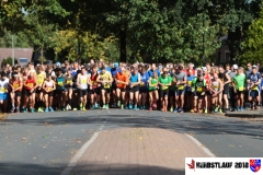 herbstlauf-2018111