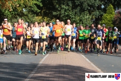 herbstlauf-2018112