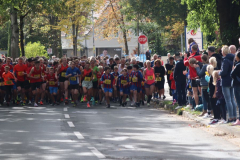 Herbstlauf0013