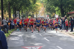 Herbstlauf0026