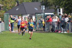 Herbstlauf0199