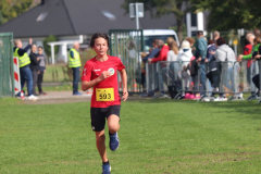 Herbstlauf0212