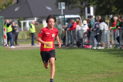 Herbstlauf0213