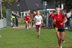 Herbstlauf0227