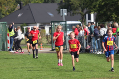 Herbstlauf0231