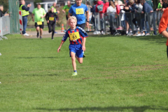 Herbstlauf0369