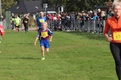 Herbstlauf0372