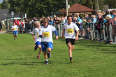 Herbstlauf0412