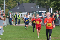 Herbstlauf0028