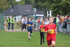 Herbstlauf0029