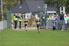 Herbstlauf0033
