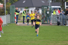 Herbstlauf0042