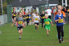 Herbstlauf0079