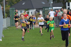 Herbstlauf0080
