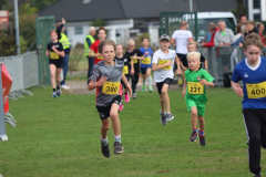 Herbstlauf0081