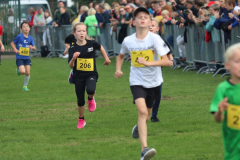 Herbstlauf0084