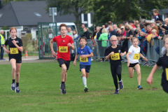 Herbstlauf0086