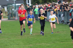 Herbstlauf0088