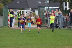 Herbstlauf0094