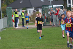 Herbstlauf0097