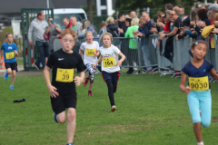 Herbstlauf0099