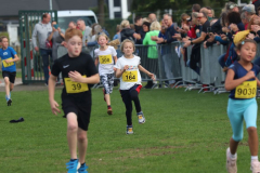 Herbstlauf0100