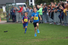 Herbstlauf0104