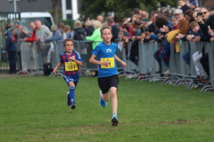 Herbstlauf0106