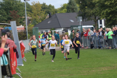 Herbstlauf0110