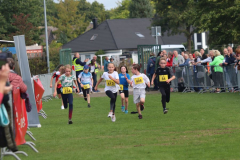 Herbstlauf0111