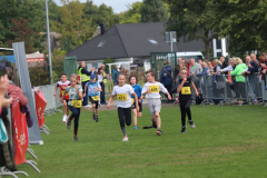 Herbstlauf0112