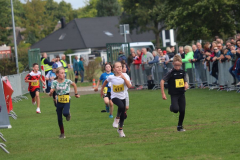 Herbstlauf0114