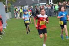 Herbstlauf0120