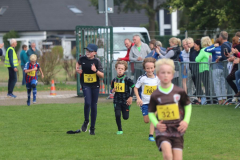 Herbstlauf0141