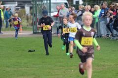 Herbstlauf0142