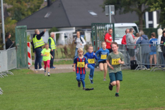 Herbstlauf0155