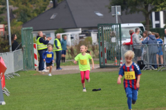 Herbstlauf0158