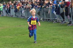 Herbstlauf0161