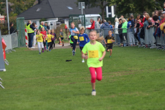 Herbstlauf0163