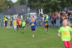 Herbstlauf0164