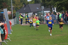 Herbstlauf0165