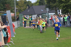 Herbstlauf0167