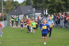 Herbstlauf0168