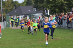Herbstlauf0169