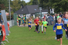 Herbstlauf0170