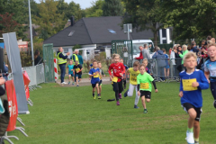 Herbstlauf0171