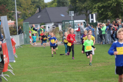 Herbstlauf0172