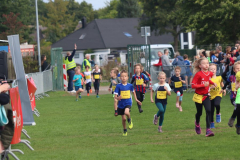 Herbstlauf0173