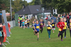 Herbstlauf0174