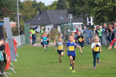 Herbstlauf0175